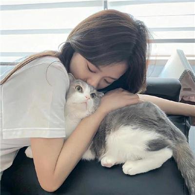 阴守忍者海报